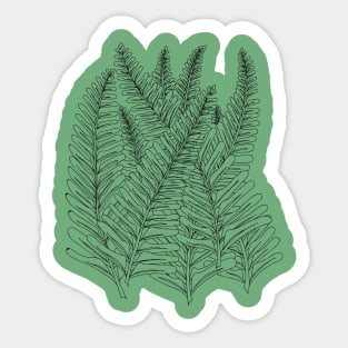 Sword ferns Sticker